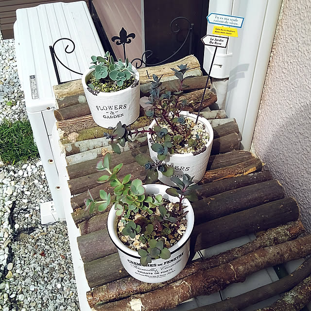 Renさんの実例写真