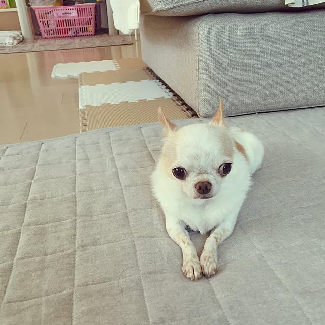 evitenさんの実例写真