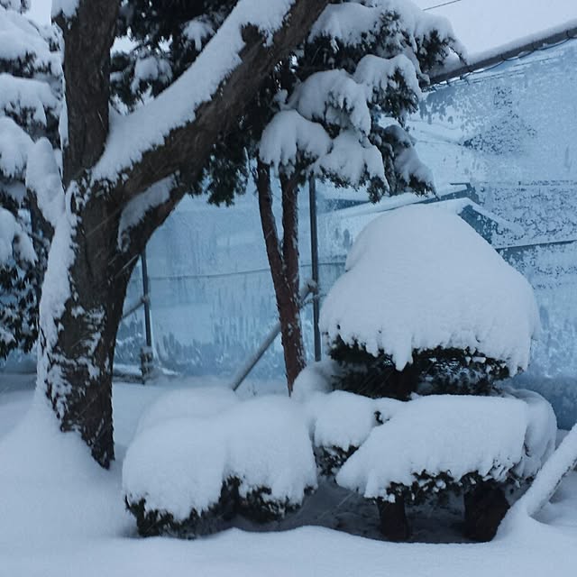 megkeiさんの実例写真