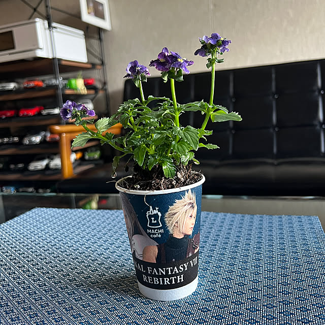 sakakenさんの実例写真