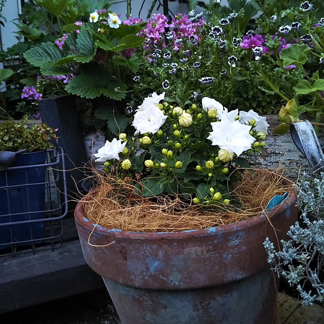 yukkoさんの実例写真