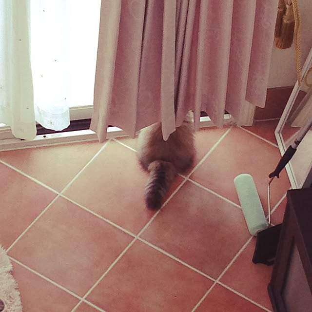 rukaさんの実例写真