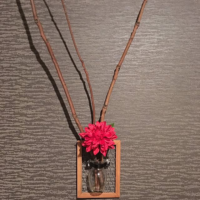 Tutaさんの実例写真