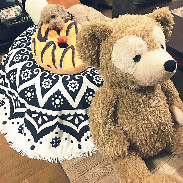 ronmaruさんの実例写真