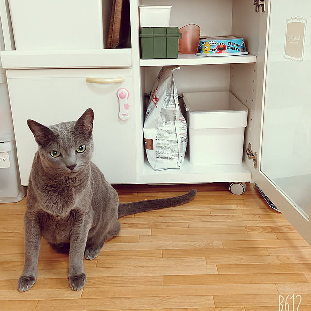 neneさんの実例写真