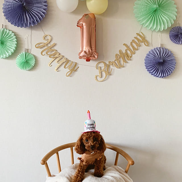 arinonさんの実例写真