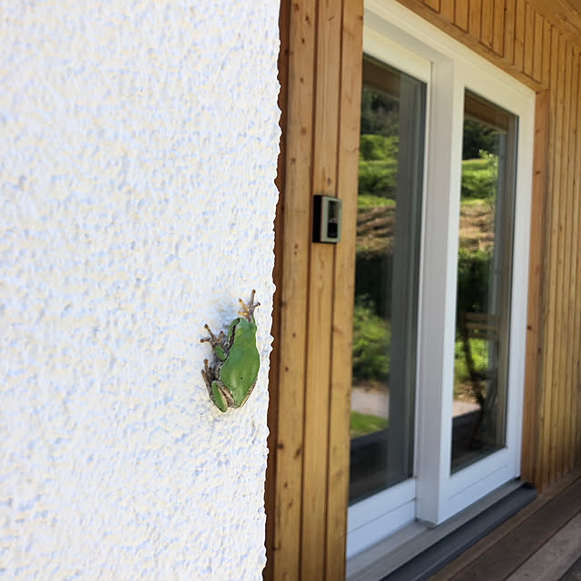 yasaigohanさんの部屋