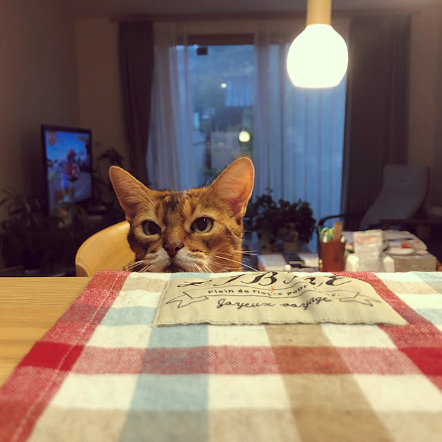 aKariさんの実例写真