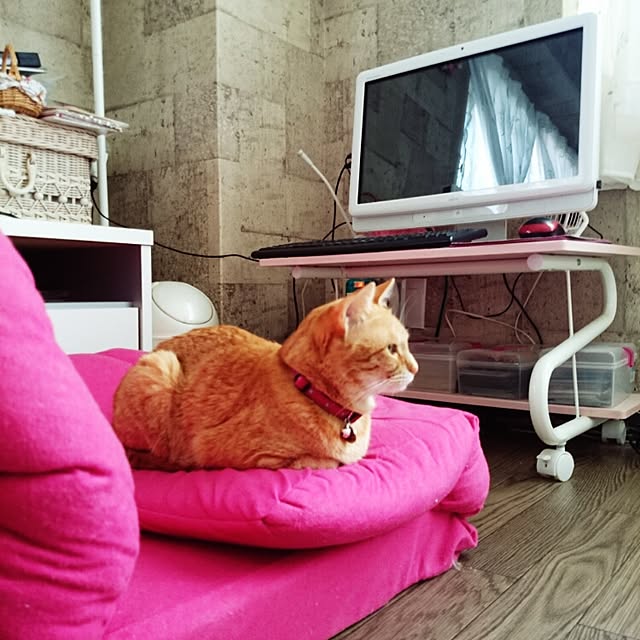 fu-ka24さんの実例写真