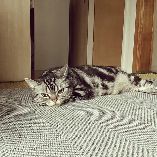 richanさんの部屋