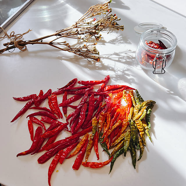 chanduさんの部屋