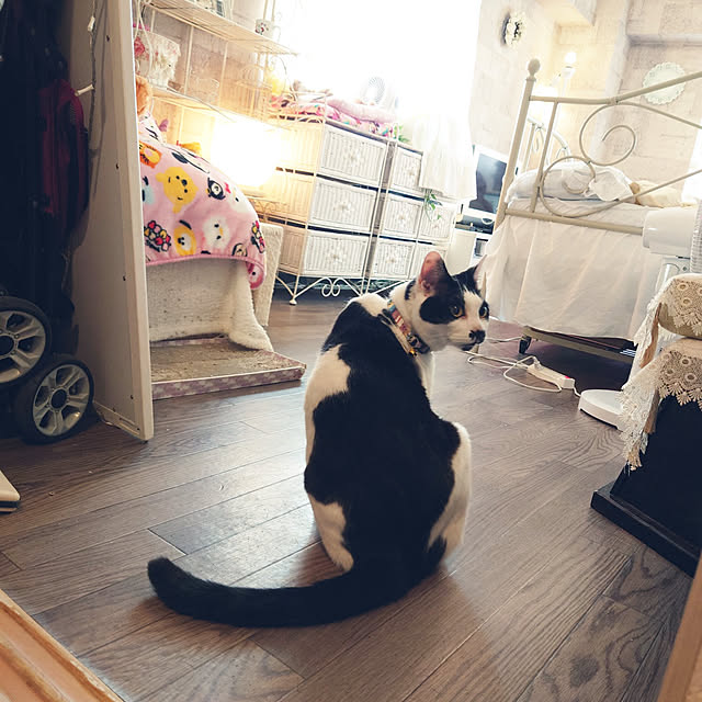 asuminさんの実例写真