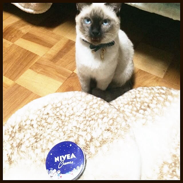 MAKOさんの実例写真