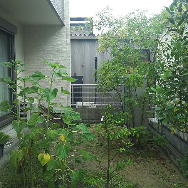 rierieさんの実例写真