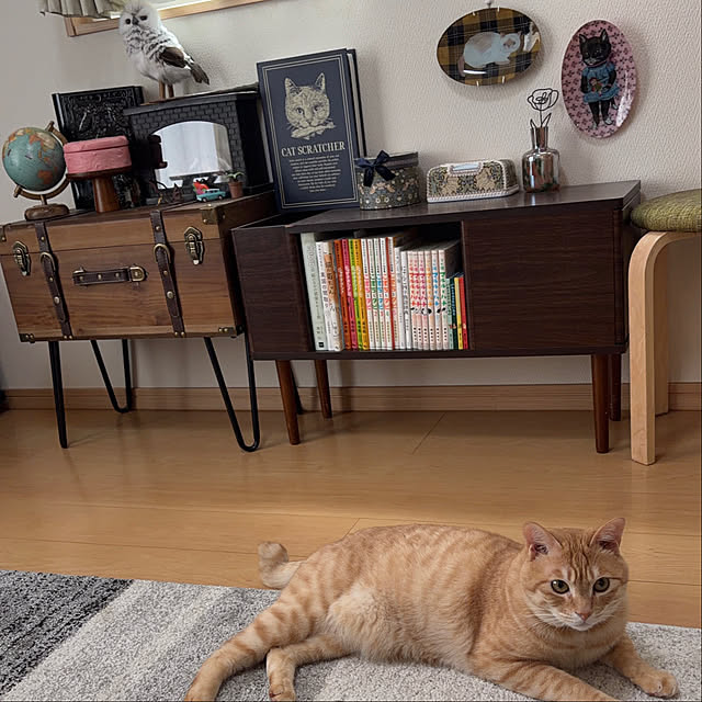 chiiさんの実例写真