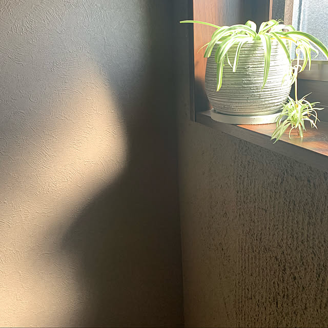 h_home.hさんの実例写真