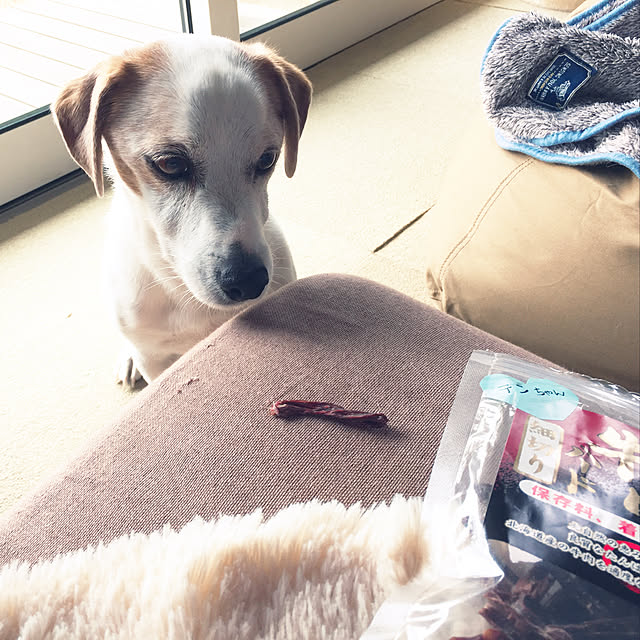 nanaさんの実例写真