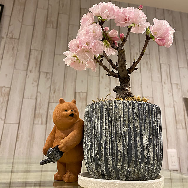 otsutaudonkoさんの実例写真