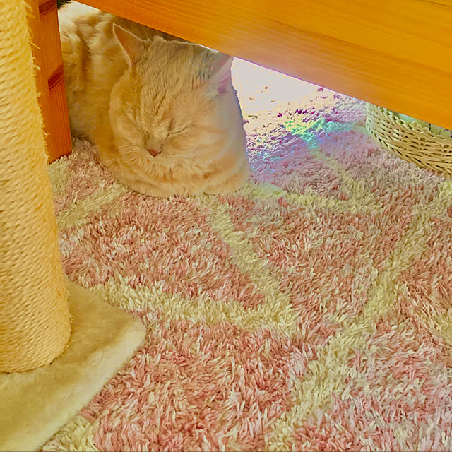 naokoさんの実例写真