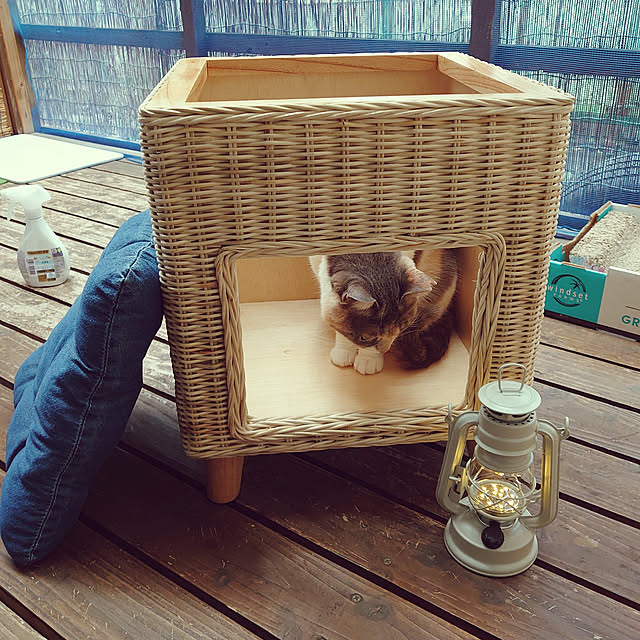 fukuさんの実例写真