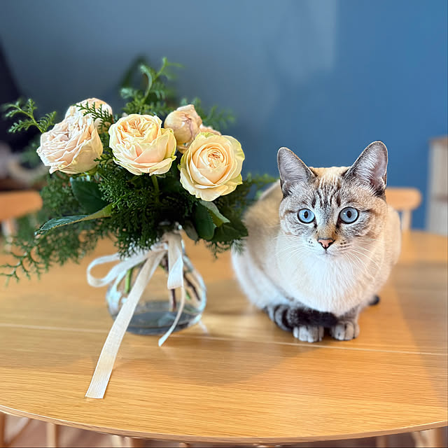 amさんの実例写真