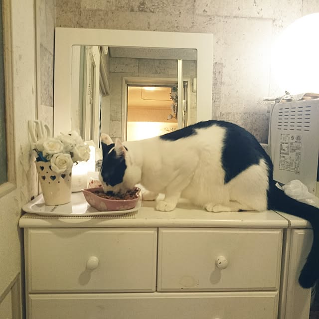 fu-ka24さんの実例写真