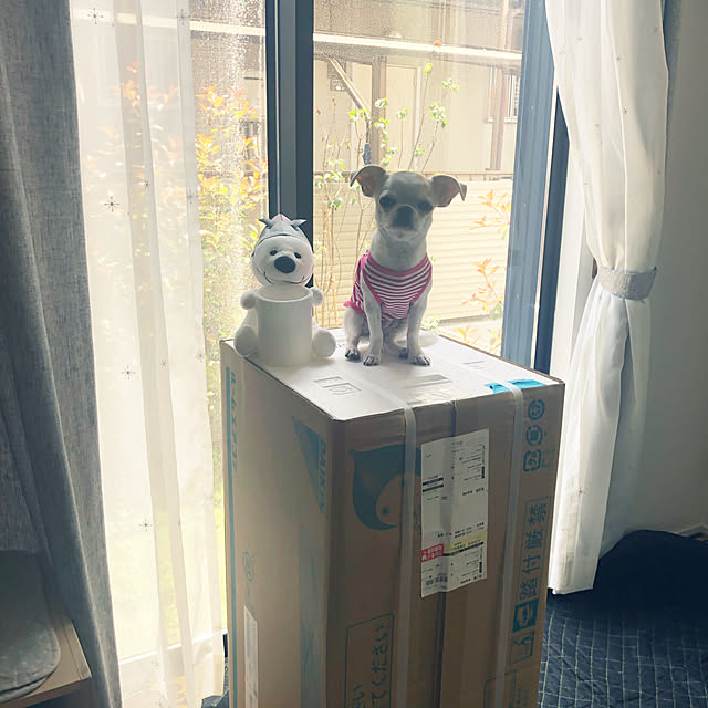 Emiさんの実例写真
