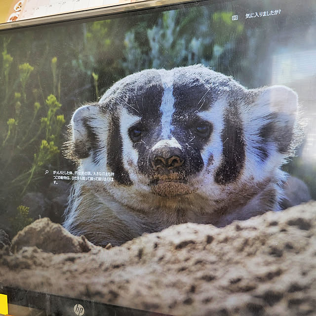 akimameさんの実例写真