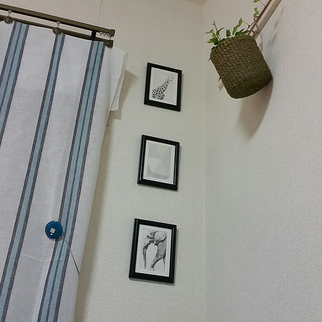 hikeさんの実例写真
