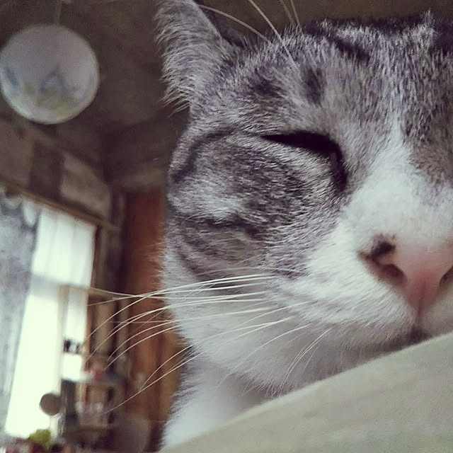leinaさんの実例写真