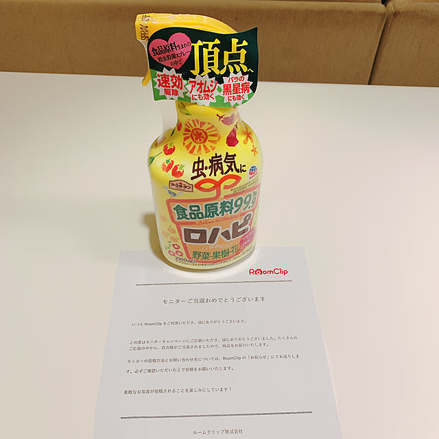実例写真