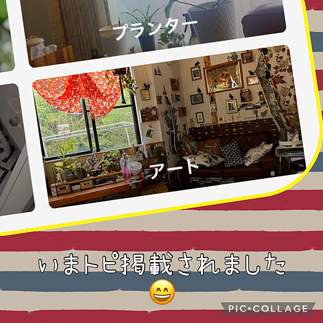 jijiさんの実例写真