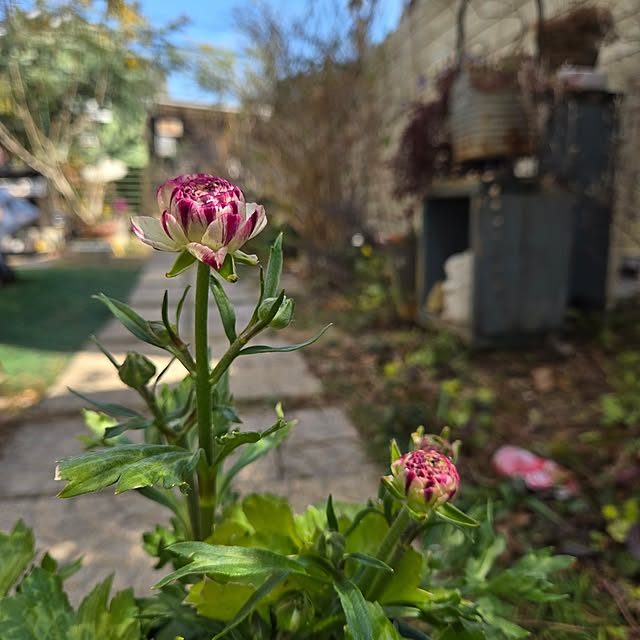 min_nimさんの実例写真