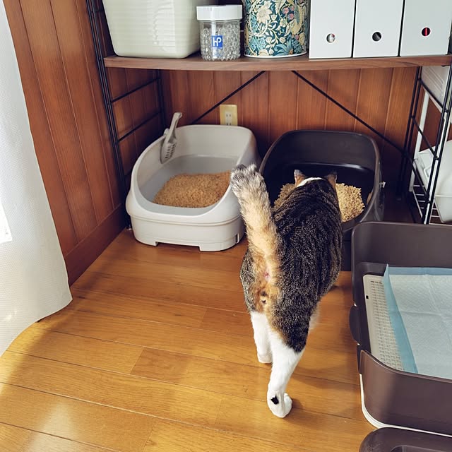 nachiさんの実例写真
