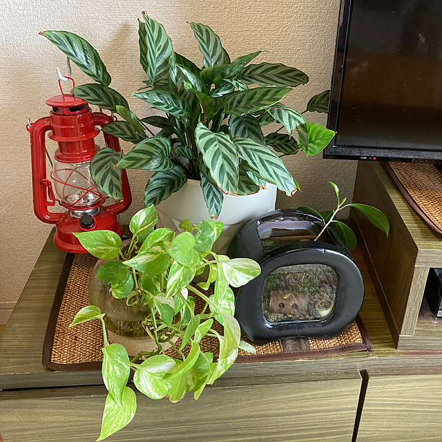 shimonokoさんの部屋