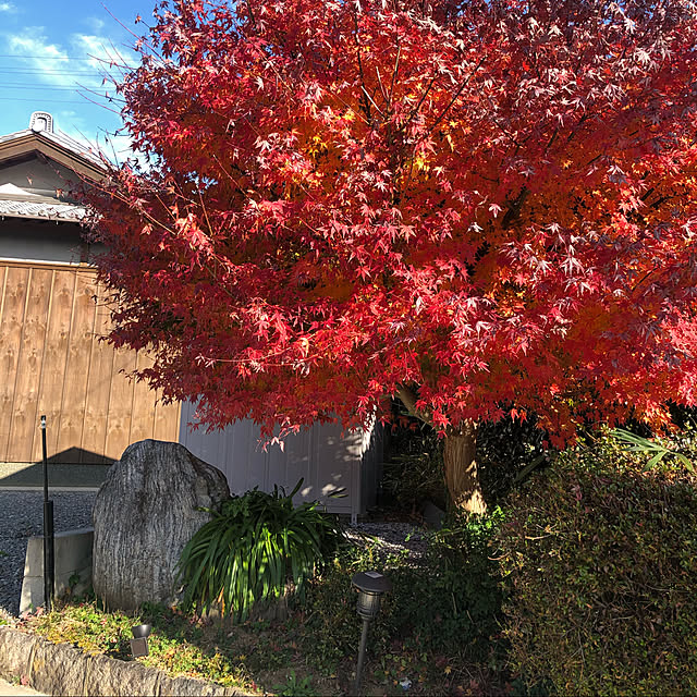 haruhirisuさんの実例写真