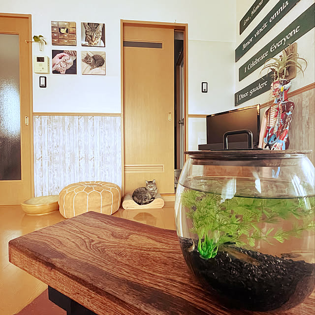 Mさんの実例写真