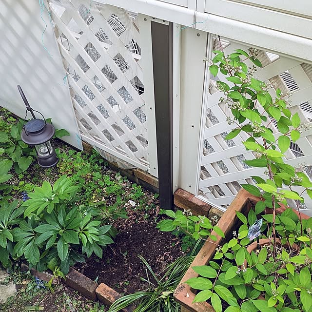 Bienvenueさんの部屋