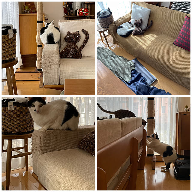 nobikoさんの実例写真