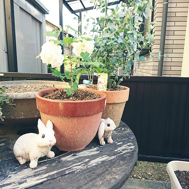 chisatsunさんの実例写真