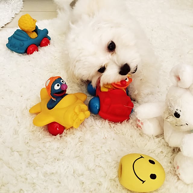 Mopmamaさんの実例写真