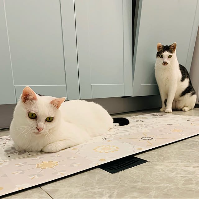 pcu110さんの実例写真