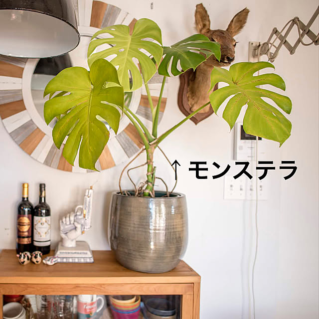 renovelifeさんの実例写真