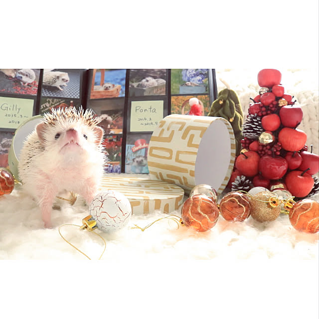 Chikakoさんの実例写真