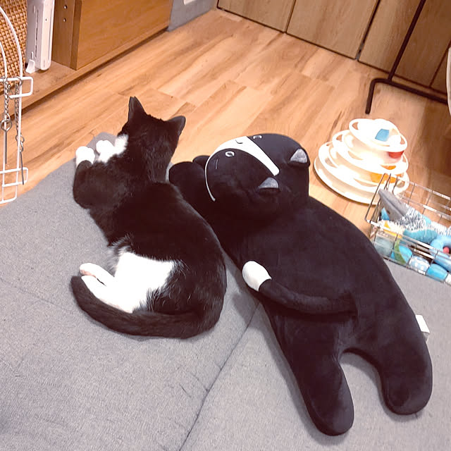 hihaさんの実例写真