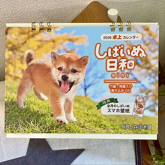 Riku2009さんの部屋