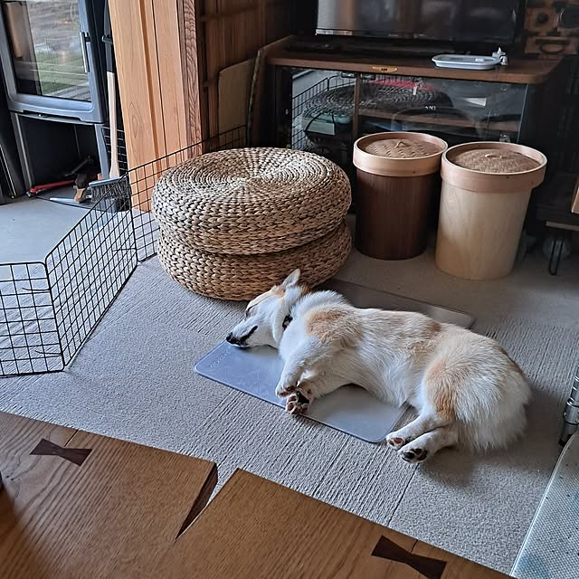 kazuraさんの実例写真