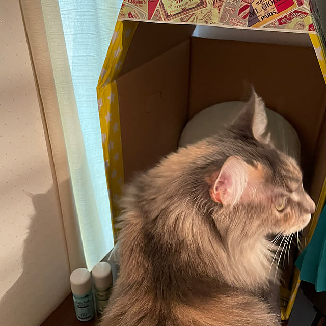 mayumiさんの部屋