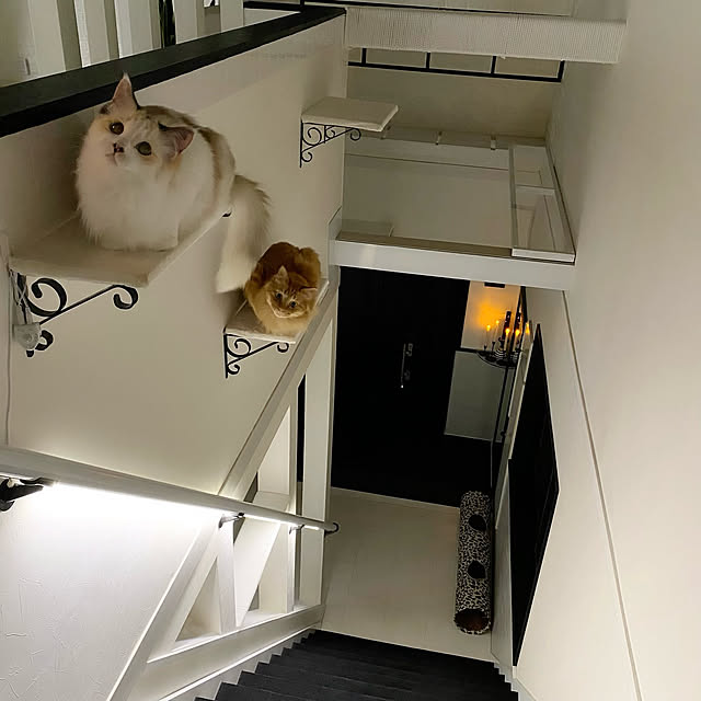 mokkoさんの実例写真