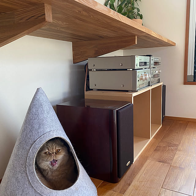 sznoieさんの部屋